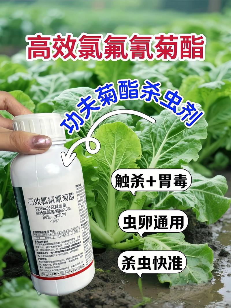 莱芜代生中心:农药对供卵代生妈妈的危害